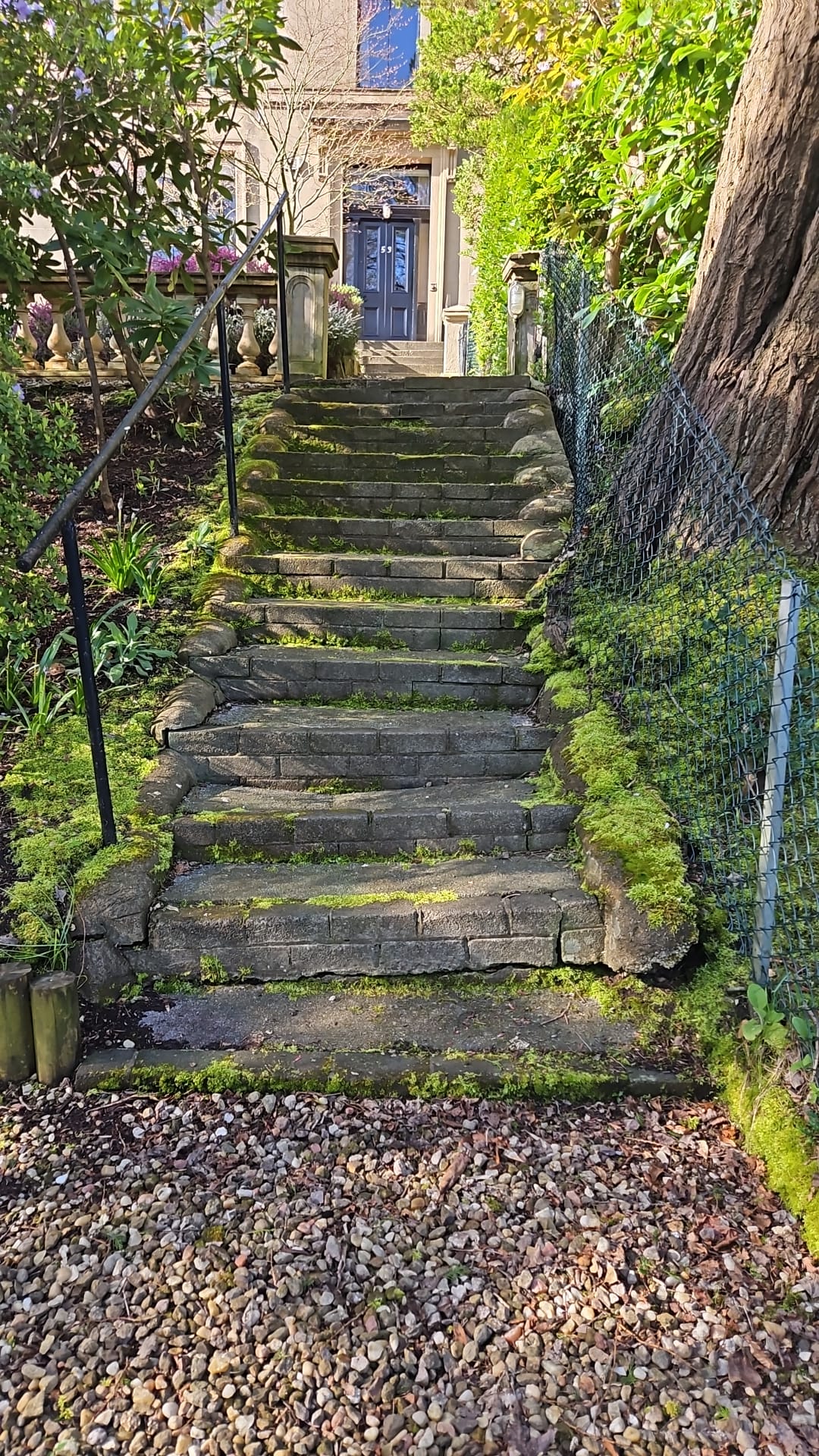 Stone Steps: View 2 - before